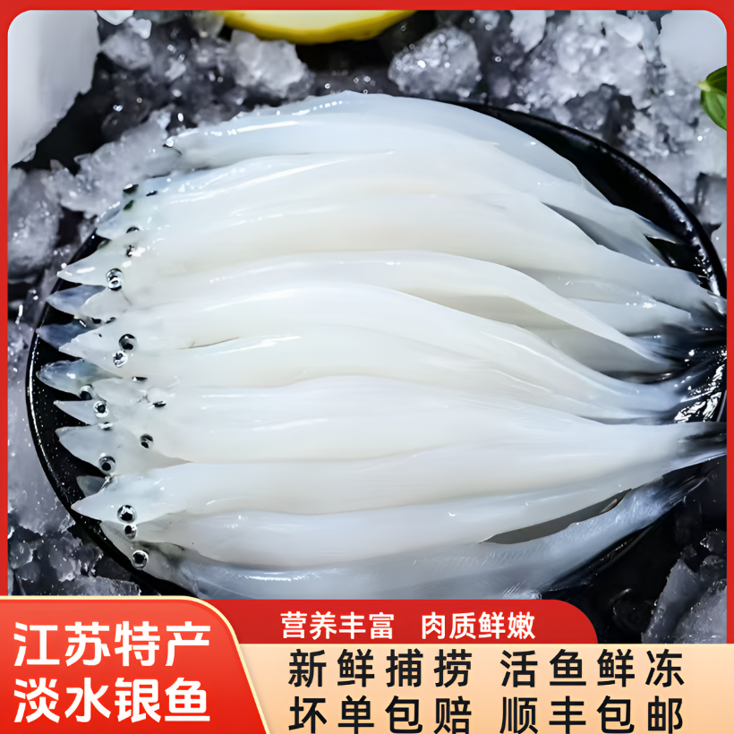 预售请阅读顶部公告