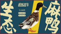 预售请阅读顶部公告